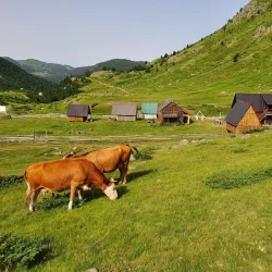 Dobërdol Village - Bajram Curri