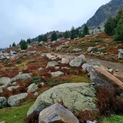 Dobërdol Village - Bajram Curri