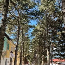 Museum of Bajram Curri - Bajram Curri