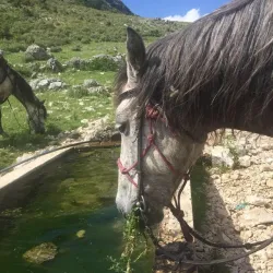 Mali i Gjerë (Wide Mountain) - Ballsh