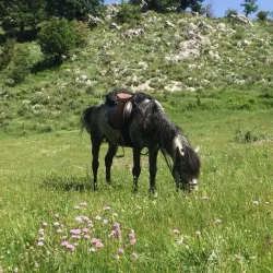 Mali i Gjerë (Wide Mountain) - Ballsh
