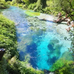 Blue Eye (Syri i Kaltër) - Delvine