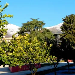 Delvine Castle - Delvine