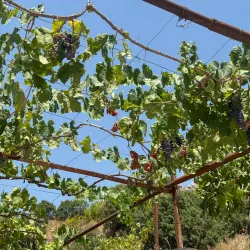 Delvine Castle - Delvine