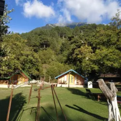 Llogara National Park - Delvine