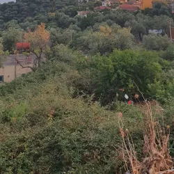 Piqeras Village - Dhermi