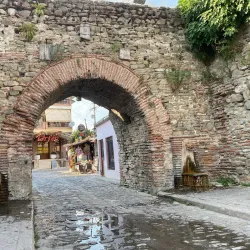 Archaeological Site of Gradishta - Elbasan