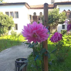 Ethnographic Museum of Elbasan - Elbasan