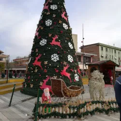 Fier City Park - Fier