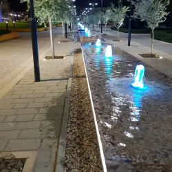 Fier City Park - Fier