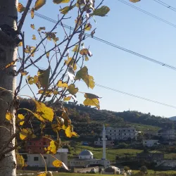 Kashar Mosque - Fier