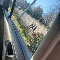 Drino River Valley - Gjirokaster