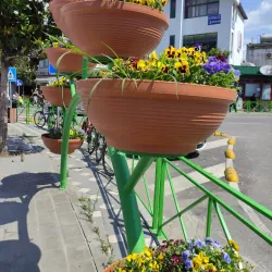 Kamëz Community Garden - Kamez (Kamze)
