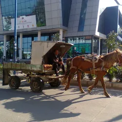 Kamëz Park - Kamez (Kamze)