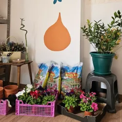 Local Art Workshops and Studios - Kamez (Kamze)