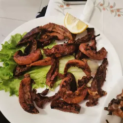 Local Cafes and Restaurants - Kamez (Kamze)