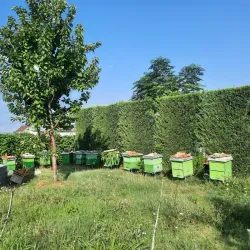 Koplik River - Koplik