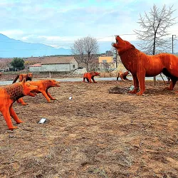 Malsia e Madhe Museum - Koplik