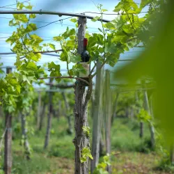 Traditional Villages Around Koplik - Koplik