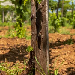 Traditional Villages Around Koplik - Koplik