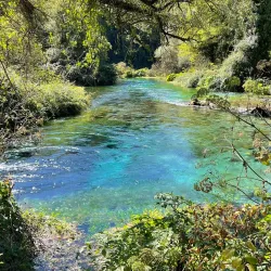 Blue Eye (Syri i Kaltër) - Ksamil