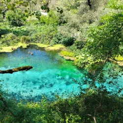 Blue Eye (Syri i Kaltër) - Ksamil