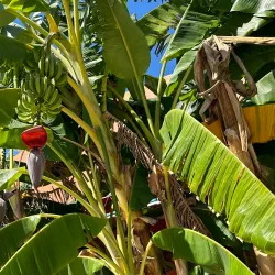 Sarandë Promenade - Ksamil