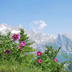 Theth National Park (nearby) - Lac