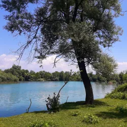 Vranjina Island - Lac