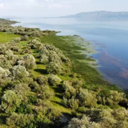Shkoder Lake - Lezhe