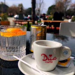 Agricultural Museum of Lushnje - Lushnje