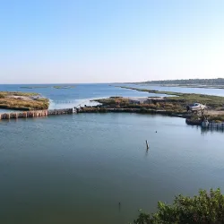 Divjakë-Karavasta National Park (near Lushnje) - Lushnje