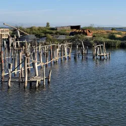 Divjakë-Karavasta National Park (near Lushnje) - Lushnje