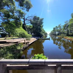 Divjakë-Karavasta National Park (near Lushnje) - Lushnje