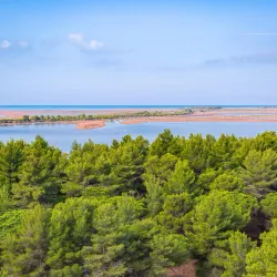 Divjakë-Karavasta National Park (near Lushnje) - Lushnje