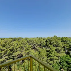 Divjakë-Karavasta National Park (near Lushnje) - Lushnje