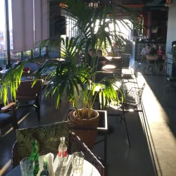 Lushnje Market - Lushnje