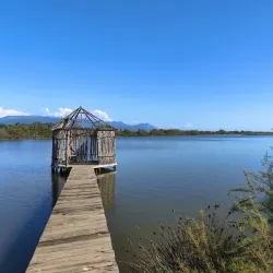 Kune-Vain Nature Reserve - Mamurras