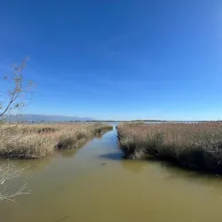 Kune-Vain Nature Reserve - Mamurras