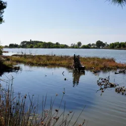 Kune-Vain Nature Reserve - Mamurras