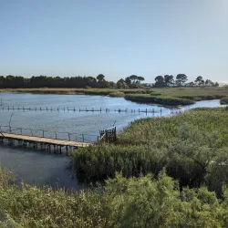 Kune-Vain Nature Reserve - Mamurras