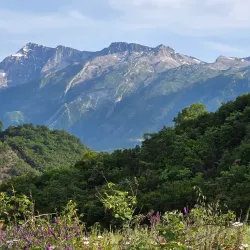 Bredhi i Hotovës National Park - Memaliaj