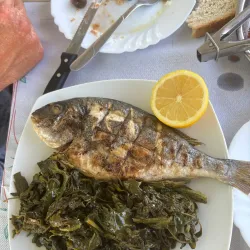 Local Cafes and Eateries - Memaliaj