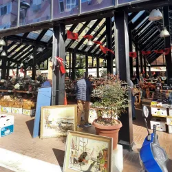 Local Traditional Market - Memaliaj