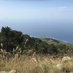 Llogara National Park - Orikum