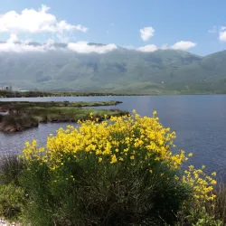 Orikum Marina - Orikum