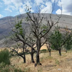 Qafa e Muzinës Pass - Permet