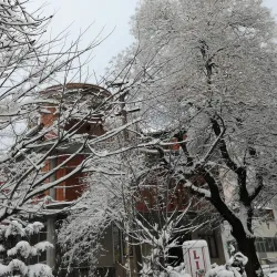 Dibër Regional Museum - Peshkopi