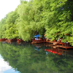 Drilon Fish Farm - Pogradec