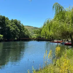 Drilon Fish Farm - Pogradec